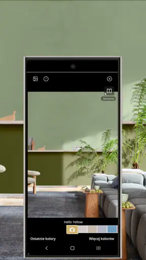Dulux Visualizer PL screenshot
