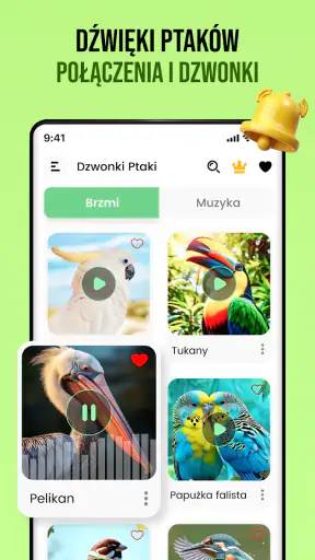 Dźwięki ptaków screenshot