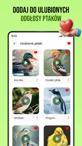 Dźwięki ptaków screenshot