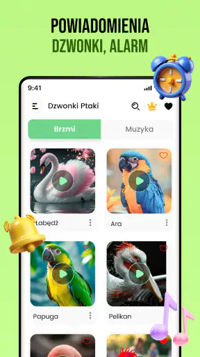 Dźwięki ptaków screenshot
