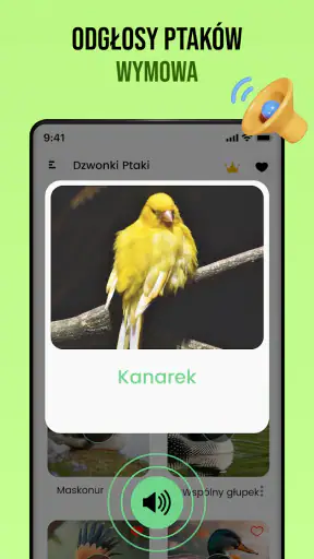 Dźwięki ptaków screenshot
