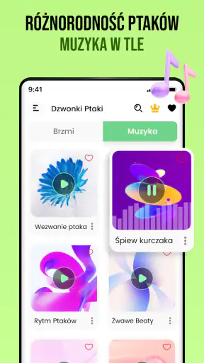 Dźwięki ptaków screenshot