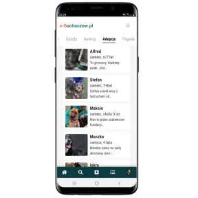 e-Sochaczew screenshot