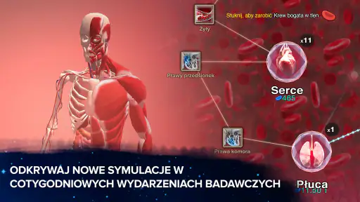 Ewolucja nigdy się nie kończy screenshot