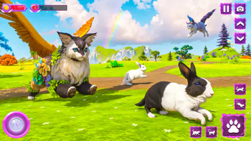 Flying Wild Cat Care Sim 3D screenshot