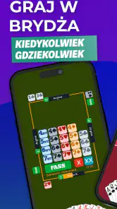 Fun Bridge screenshot