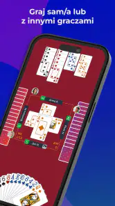 Fun Bridge screenshot