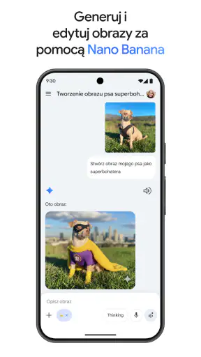 Gemini od Google screenshot