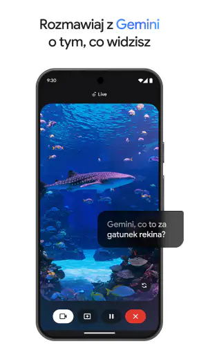 Gemini od Google screenshot