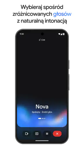 Gemini od Google screenshot