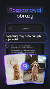 Gemmy AI: Chat i Asystent screenshot