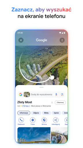 Google screenshot