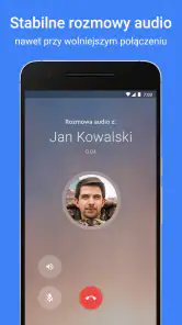 Google Meet screenshot