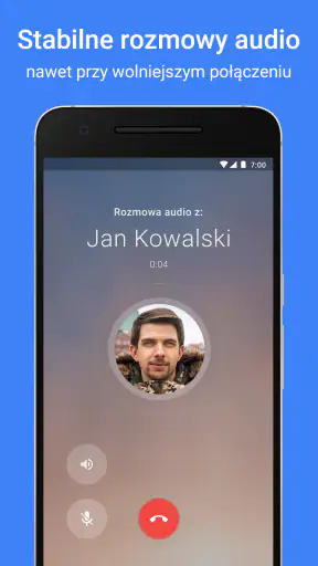 Google Meet screenshot