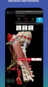 Human Anatomy Atlas 2026 screenshot