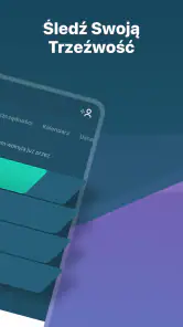 I Am Sober - Jestem trzeźwy/a screenshot