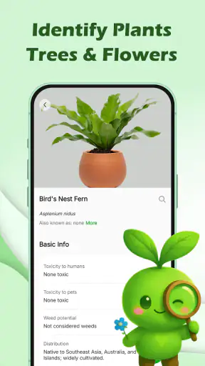 Identyfikator roślin– AI Plant screenshot