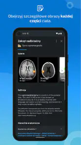 IMAIOS e-Anatomy screenshot
