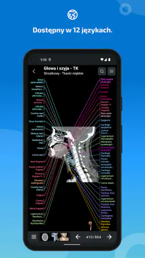 IMAIOS e-Anatomy screenshot