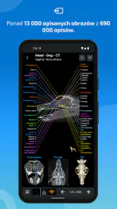 IMAIOS vet-Anatomy screenshot