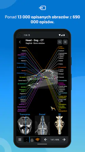 IMAIOS vet-Anatomy screenshot