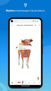 IMAIOS vet-Anatomy screenshot
