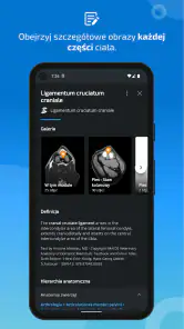 IMAIOS vet-Anatomy screenshot