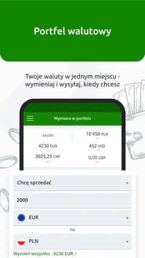 InternetowyKantor.pl screenshot