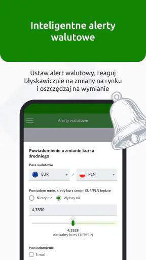 InternetowyKantor.pl screenshot