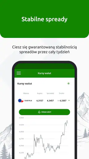 InternetowyKantor.pl screenshot