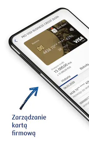 iPKO biznes screenshot