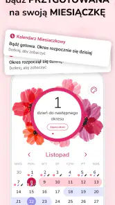 Kalendarz Miesiaczkowy screenshot