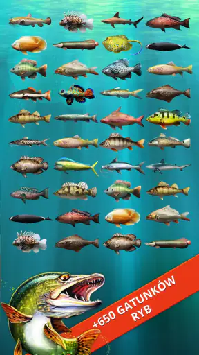 Let's Fish: Symulator wędkarza screenshot