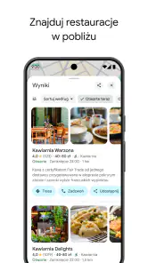 Mapy Google screenshot