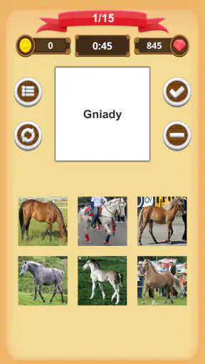 Maści Koni - Quiz screenshot