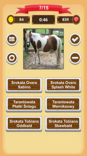 Maści Koni - Quiz screenshot