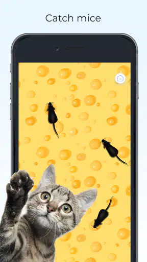 Meow - Gry dla Kotów Zabawka screenshot