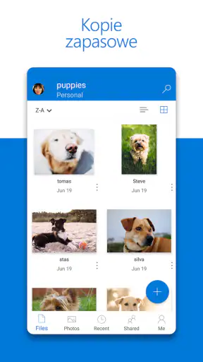 Microsoft OneDrive screenshot