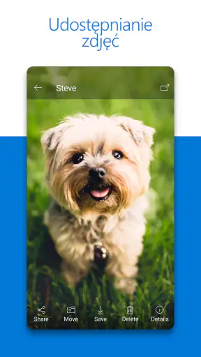 Microsoft OneDrive screenshot