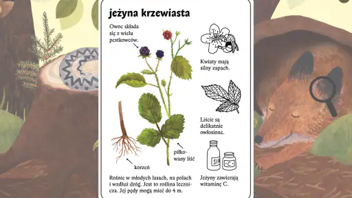 Mysia Encyklopedia screenshot