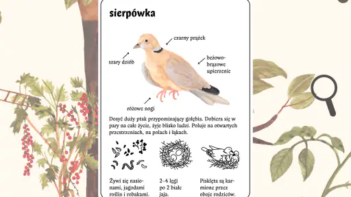 Mysia Encyklopedia screenshot
