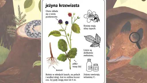 Mysia Encyklopedia screenshot