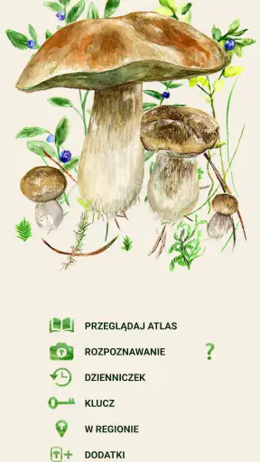 Na grzyby screenshot