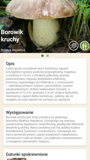 Na grzyby screenshot