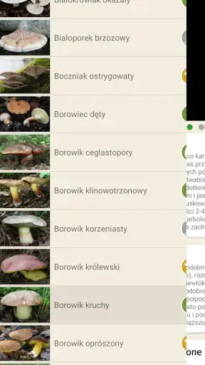 Na grzyby screenshot