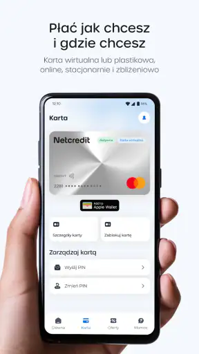 Netcredit screenshot