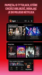 Netflix screenshot