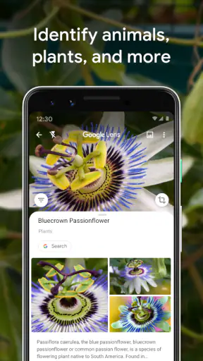 Obiektyw Google screenshot
