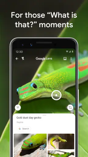 Obiektyw Google screenshot