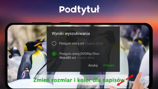 Odtwarzacz Wideo Cały Format screenshot